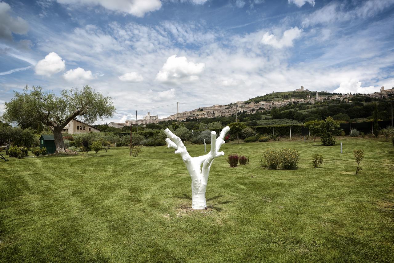 Tenuta San Masseo - Boutique Farm Resort & Spa Асизи Екстериор снимка